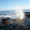 patlanposh